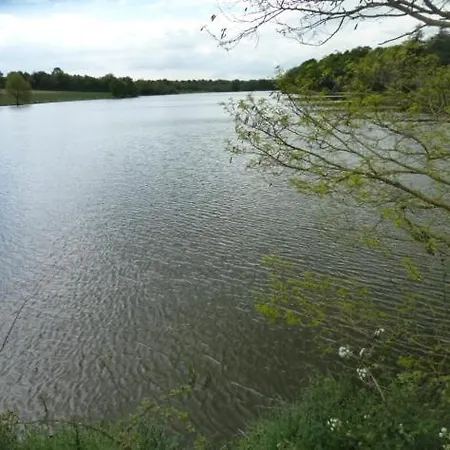 Le Chene Liege Mache