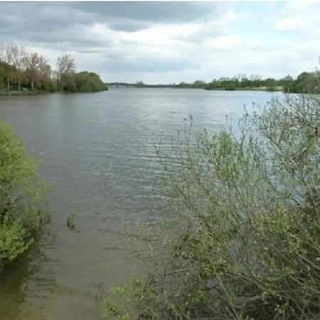 Le Chene Liege * Mache