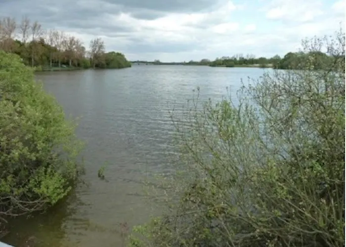 Le Chene Liege * Maché